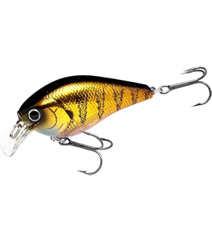 Amazon.co.jp: ラッキークラフト(LUCKY CRAFT)FAT CB BDS6 ~Big Daddy